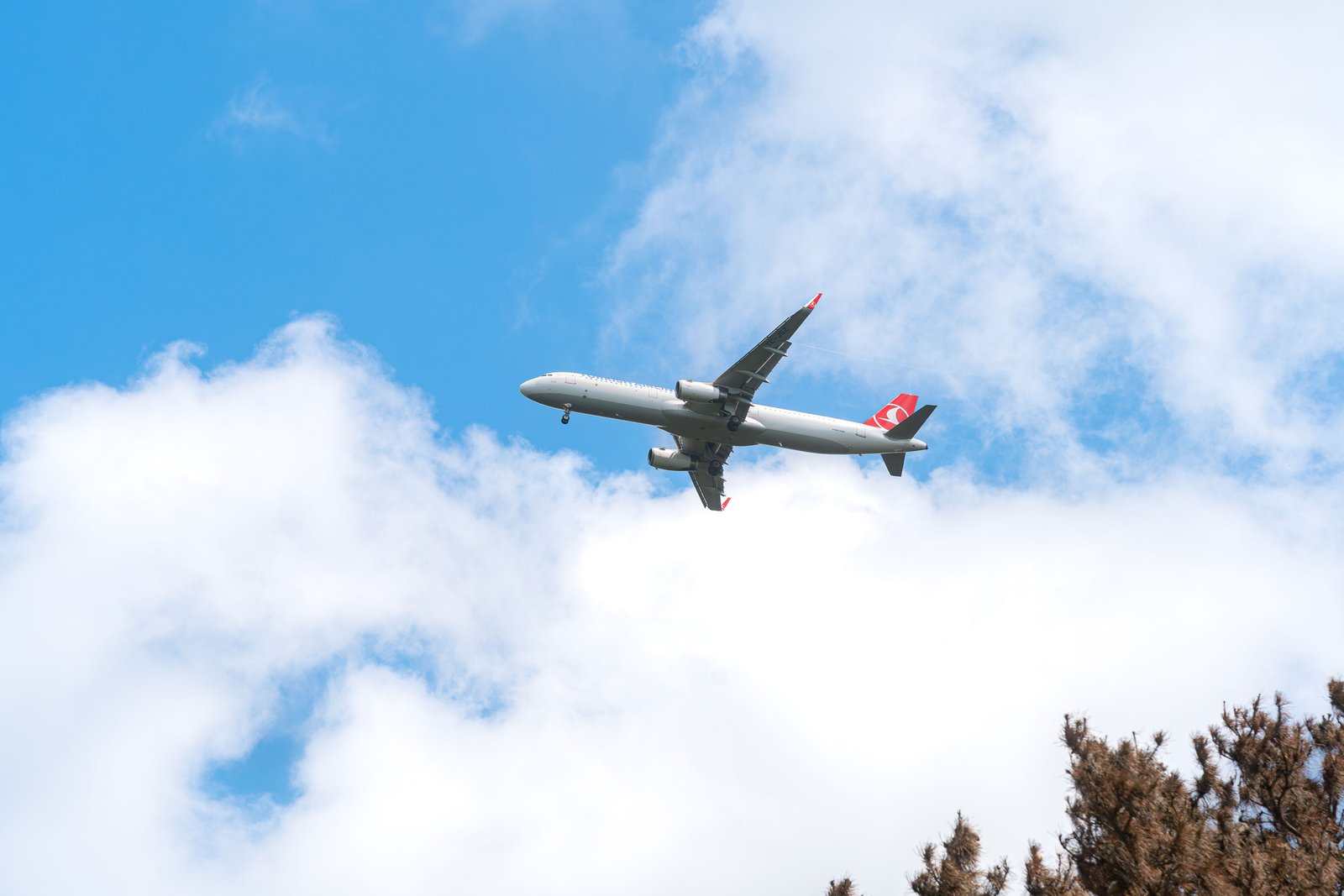 Air Freight